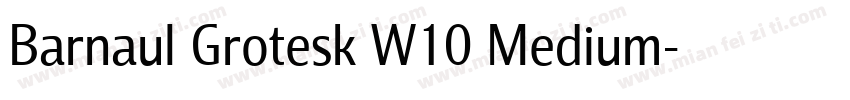 Barnaul Grotesk W10 Medium字体转换